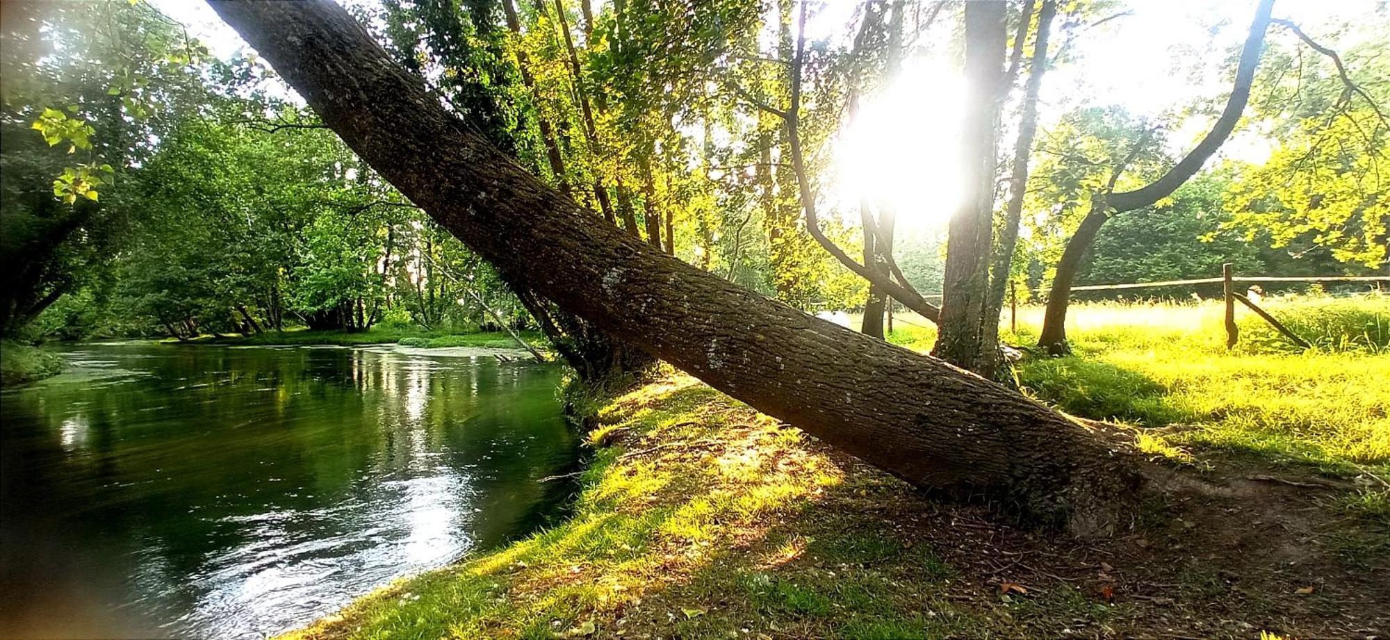 La Regina Del Bosco Villa Rivignano Luaran gambar
