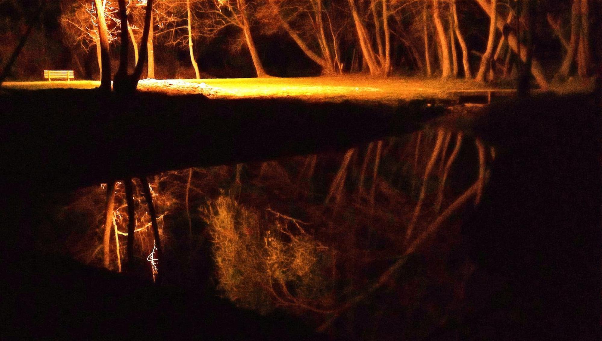 La Regina Del Bosco Villa Rivignano Luaran gambar